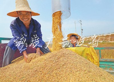 粮食库存实 饭碗滚动灯箱端得牢(权威发布)